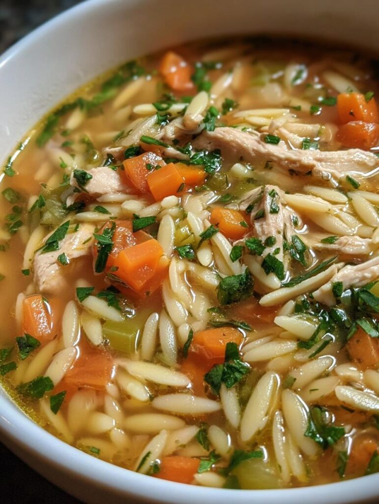 Chicken Noodle Orzo Soup