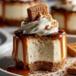 Bake Biscoff Cheesecake Indulge