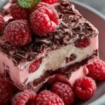 Raspberry Chocolate Chunk Ice